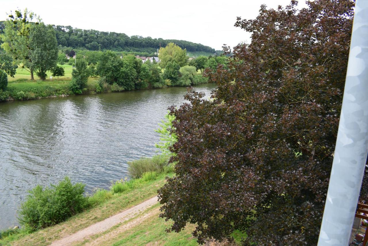 Apartments Mit Klimaanlage Am Neckarufer, Schoene Aussicht Bad Friedrichshall Kültér fotó