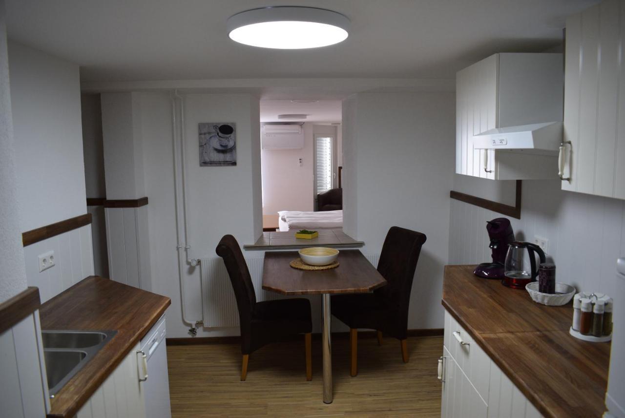 Apartments Mit Klimaanlage Am Neckarufer, Schoene Aussicht Bad Friedrichshall Kültér fotó