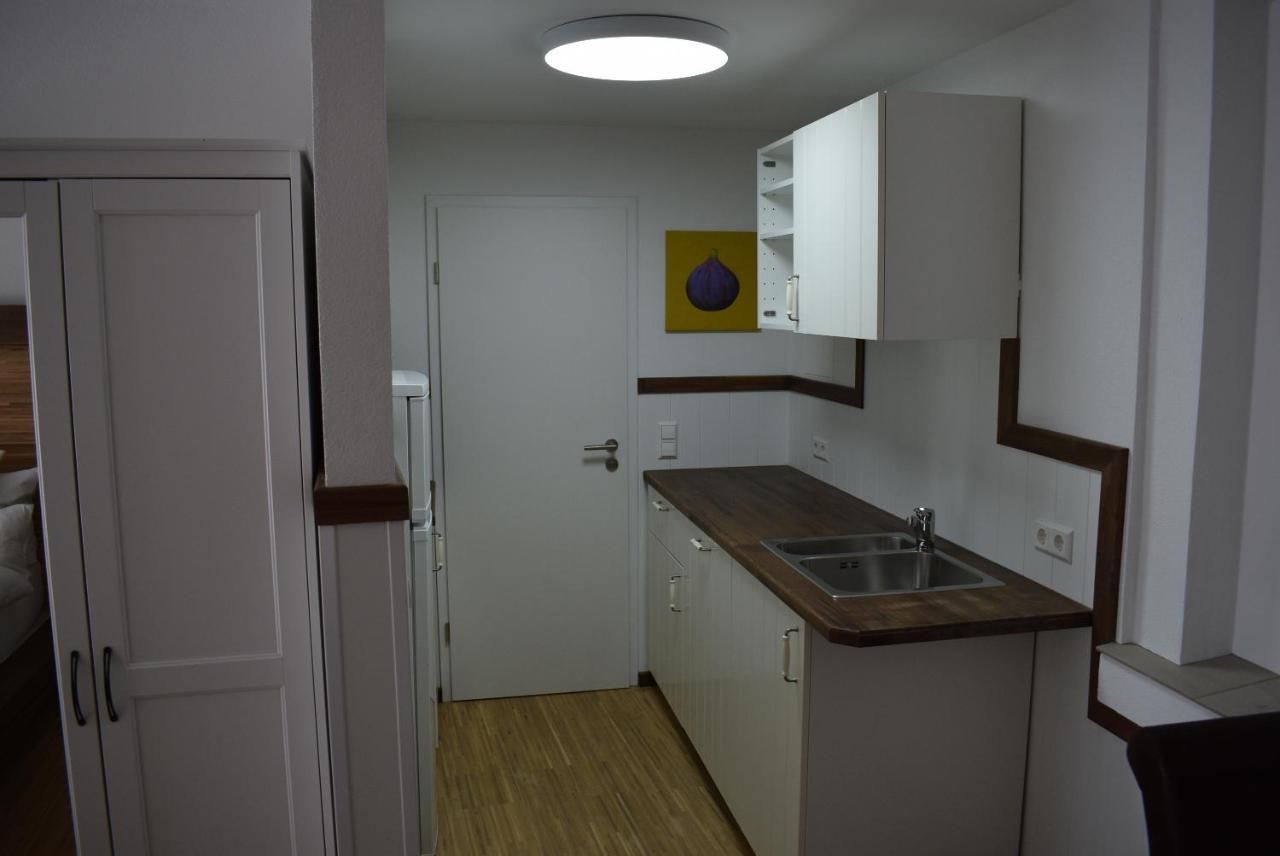 Apartments Mit Klimaanlage Am Neckarufer, Schoene Aussicht Bad Friedrichshall Kültér fotó
